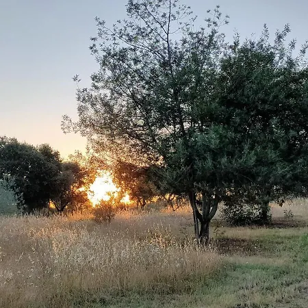 Farm stay Casa Rural Camino Del Alentejo *