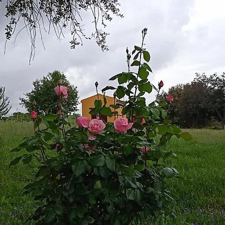 Casa Rural Camino Del Alentejo Farm stay *
