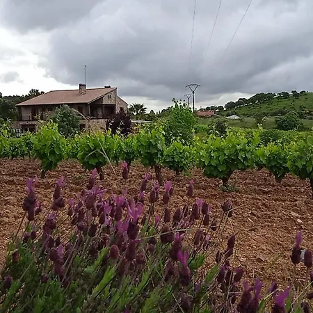 Casa Rural Camino Del Alentejo