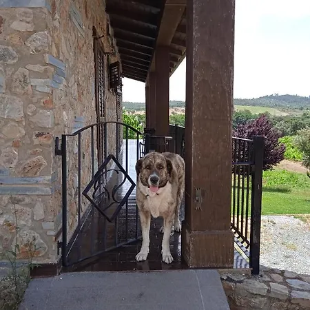 Casa Rural Camino Del Alentejo مزرعة للإقامة