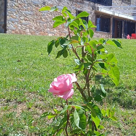 Casa Rural Camino Del Alentejo Farm stay *