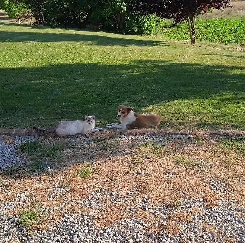 Vakantieboerderij Casa Rural Camino Del Alentejo *