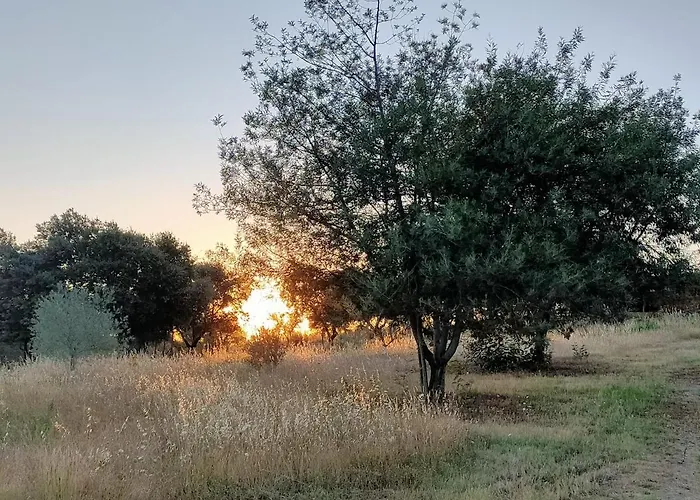 Vakantieboerderij Casa Rural Camino Del Alentejo *