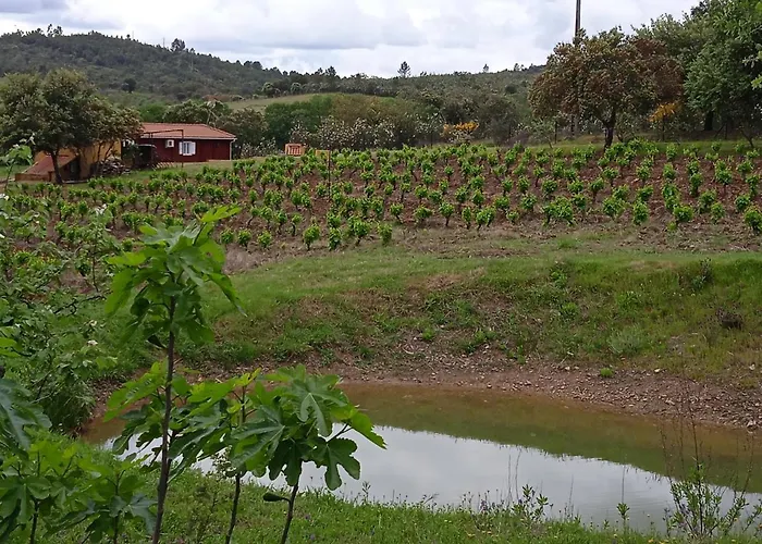 Casa Rural Camino Del Alentejo Vakantieboerderij *