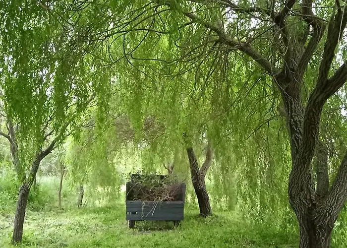 Casa Rural Camino Del Alentejo Vakantieboerderij