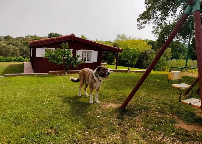 Vakantieboerderij Casa Rural Camino Del Alentejo *