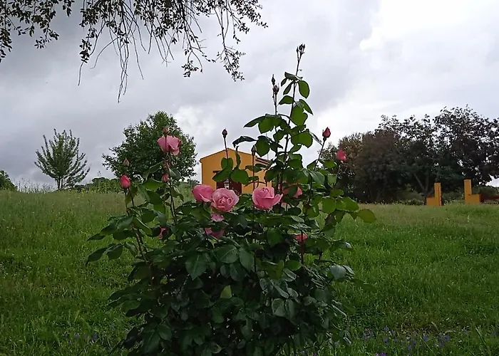 Casa Rural Camino Del Alentejo Vakantieboerderij *