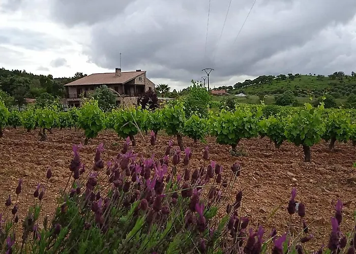 Casa Rural Camino Del Alentejo