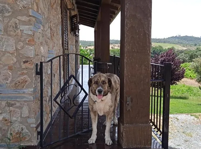 Casa Rural Camino Del Alentejo Vakantieboerderij