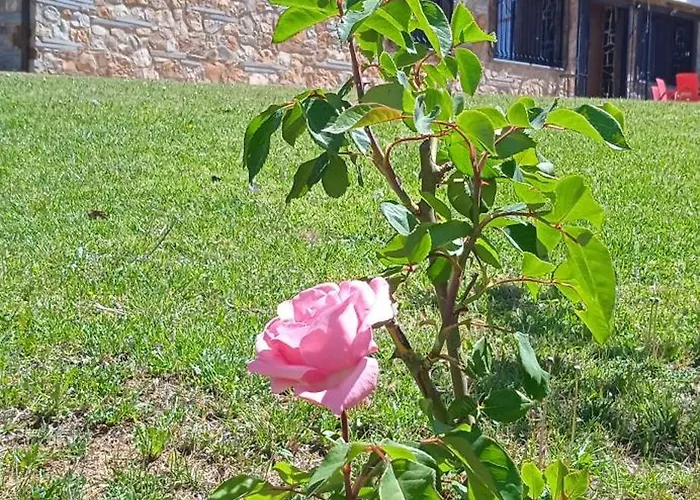 Casa Rural Camino Del Alentejo Vakantieboerderij *
