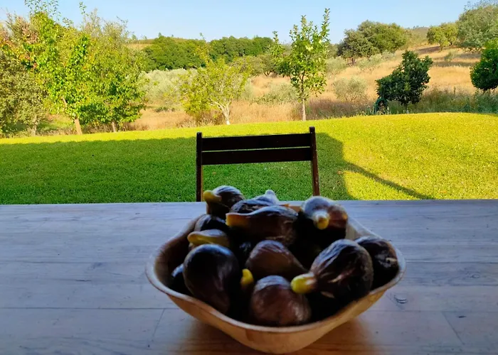 Casa Rural Camino Del Alentejo Vakantieboerderij *